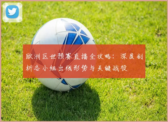 欧洲区世预赛直播全攻略：深度剖析各小组出线形势与关键战役