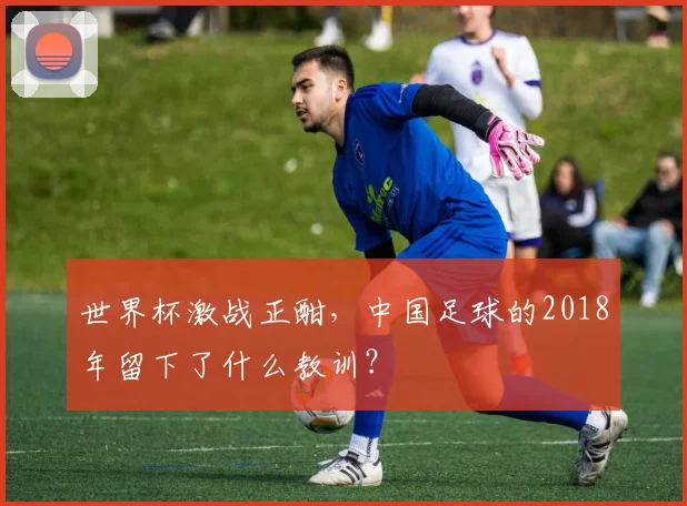 世界杯激战正酣，中国足球的2018年留下了什么教训？