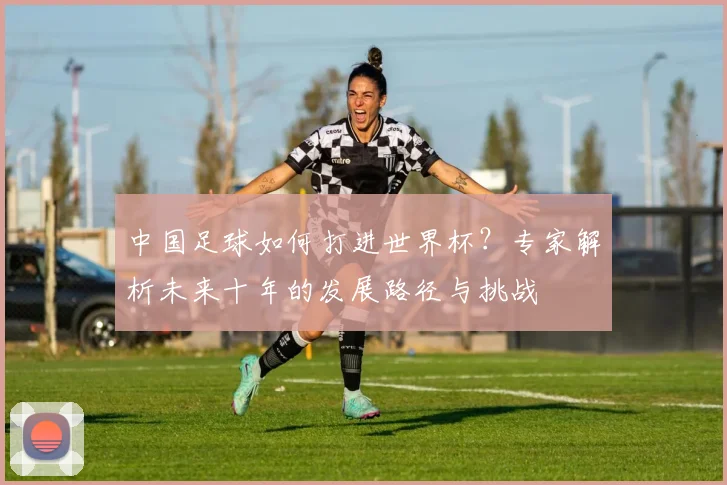 中国足球如何打进世界杯?专家解析未来十年的发展路径与挑战