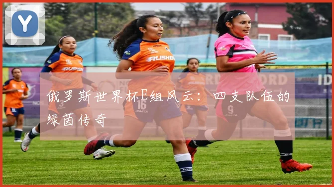 俄罗斯世界杯E组风云:四支队伍的绿茵传奇