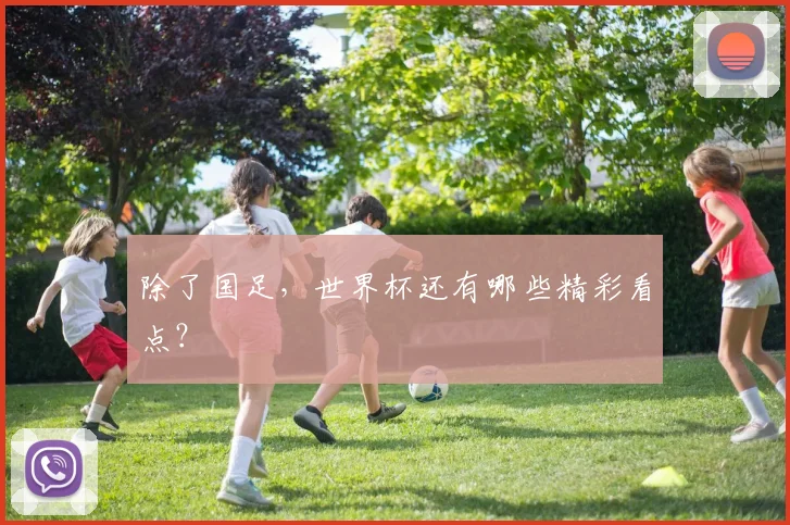 除了国足，世界杯还有哪些精彩看点？