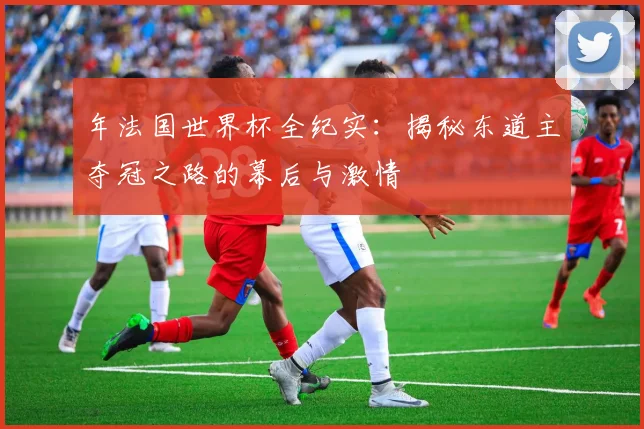 年法国世界杯全纪实：揭秘东道主夺冠之路的幕后与激情