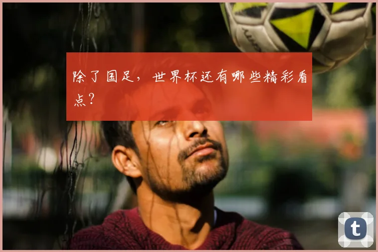 除了国足,世界杯还有哪些精彩看点?