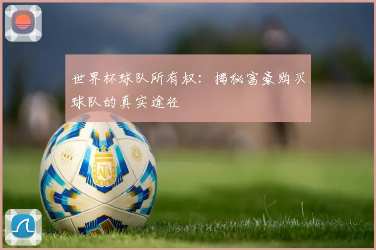 世界杯球队所有权:揭秘富豪购买球队的真实途径