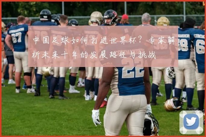 中国足球如何打进世界杯?专家解析未来十年的发展路径与挑战
