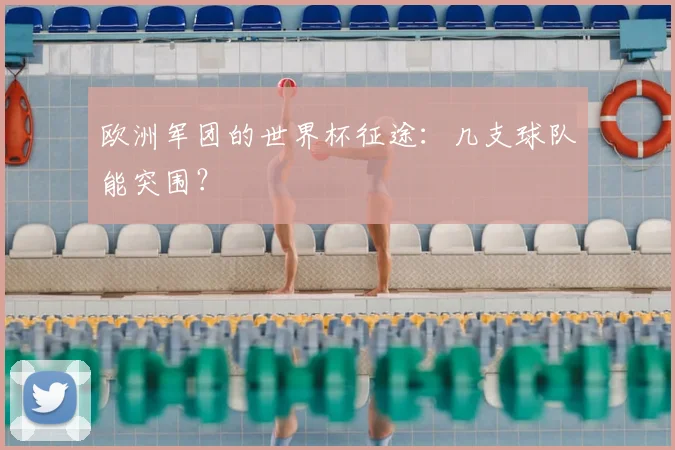 欧洲军团的世界杯征途：几支球队能突围？