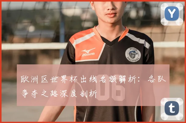 欧洲区世界杯出线名额解析：各队争夺之路深度剖析