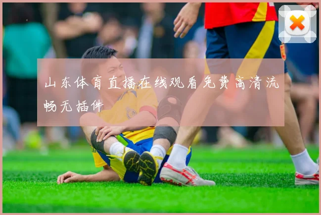山东体育直播在线观看免费高清流畅无插件