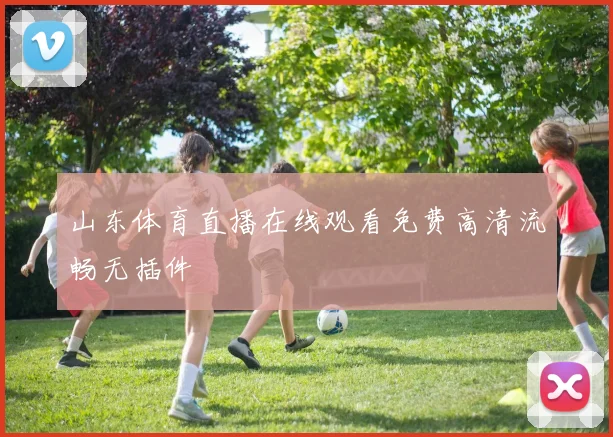 山东体育直播在线观看免费高清流畅无插件