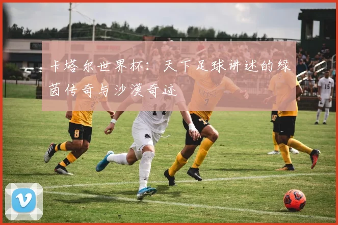 卡塔尔世界杯：天下足球讲述的绿茵传奇与沙漠奇迹