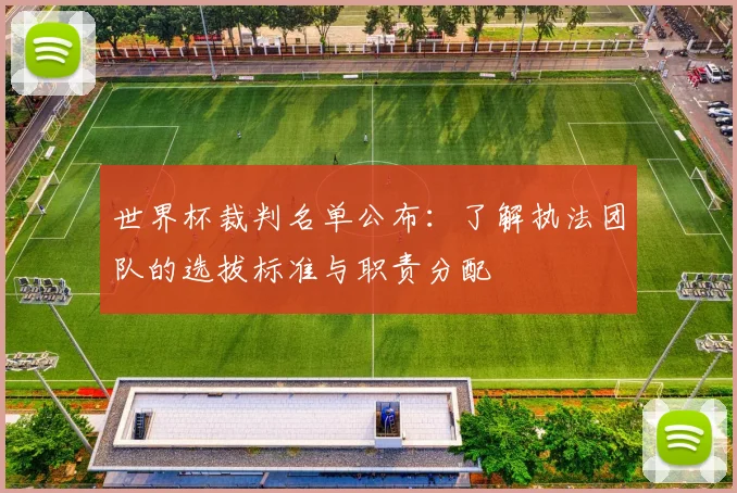 世界杯裁判名单公布：了解执法团队的选拔标准与职责分配